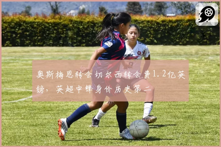 奥斯梅恩转会切尔西转会费1.2亿英镑,英超中锋身价历史第二