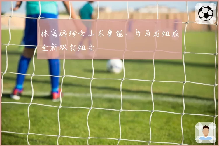林高远转会山东鲁能,与马龙组成全新双打组合