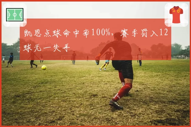 凯恩点球命中率100%,赛季罚入12球无一失手